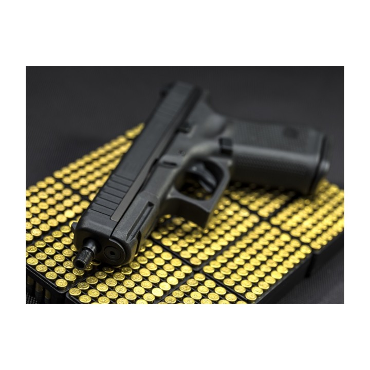 Pistole GLOCK 44 r.22LR