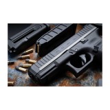 Pistole GLOCK 44 r.22LR, Limited Edition.(Silver Line)